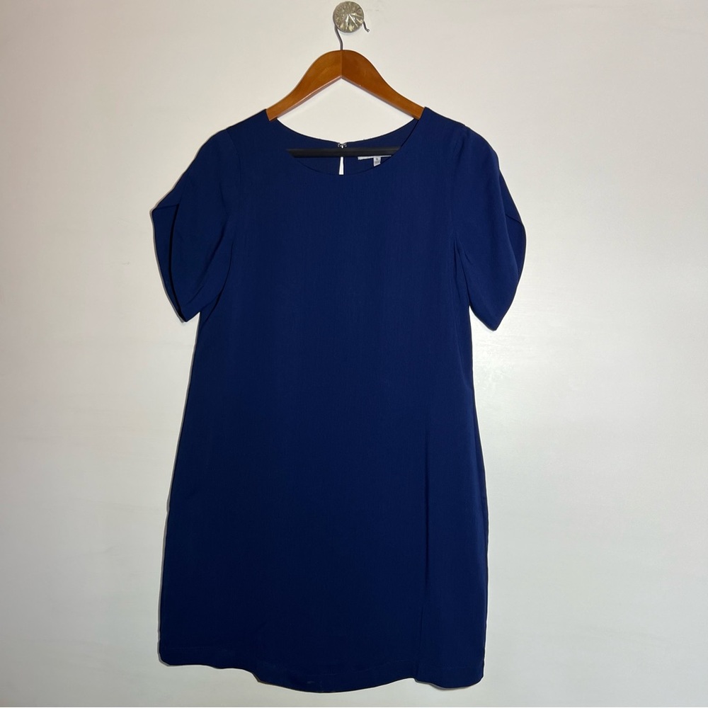 NAKED ZEBRA DRESS BLUE
With tulip sleeves 
Size: small
Made in : China